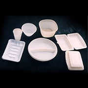 Disposable Tableware